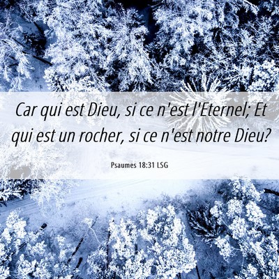 Picture 06 - Psaumes 18:31 LSG - Car qui est Dieu, si ce n'est l'Eternel; Et qui - Bible Verse Picture