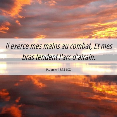 Picture 06 - Psaumes 18:34 LSG - Il exerce mes mains au combat, Et mes bras - Bible Verse Picture