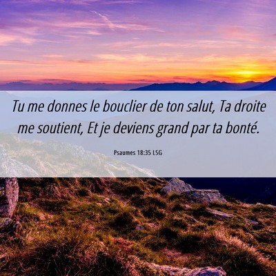 Picture 06 - Psaumes 18:35 LSG - Tu me donnes le bouclier de ton salut, Ta droite - Bible Verse Picture