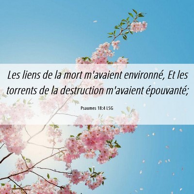 Picture 06 - Psaumes 18:4 LSG - Les liens de la mort m'avaient environné, Et les - Bible Verse Picture