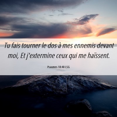 Picture 06 - Psaumes 18:40 LSG - Tu fais tourner le dos à mes ennemis devant moi, - Bible Verse Picture