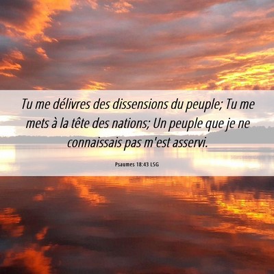 Picture 06 - Psaumes 18:43 LSG - Tu me délivres des dissensions du peuple; Tu me - Bible Verse Picture