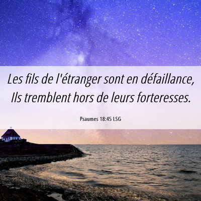 Picture 06 - Psaumes 18:45 LSG - Les fils de l'étranger sont en défaillance, Ils - Bible Verse Picture