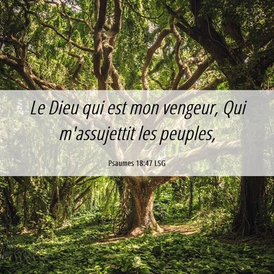Picture 06 - Psaumes 18:47 LSG - Le Dieu qui est mon vengeur, Qui m'assujettit les - Bible Verse Picture