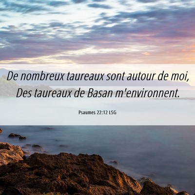 Picture 06 - Psaumes 22:12 LSG - De nombreux taureaux sont autour de moi, Des - Bible Verse Picture