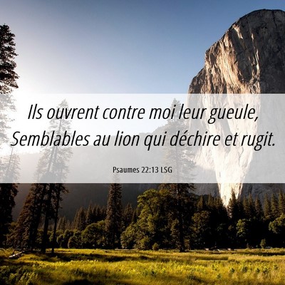 Picture 06 - Psaumes 22:13 LSG - Ils ouvrent contre moi leur gueule, Semblables au - Bible Verse Picture