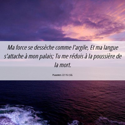 Picture 06 - Psaumes 22:15 LSG - Ma force se dessèche comme l'argile, Et ma - Bible Verse Picture