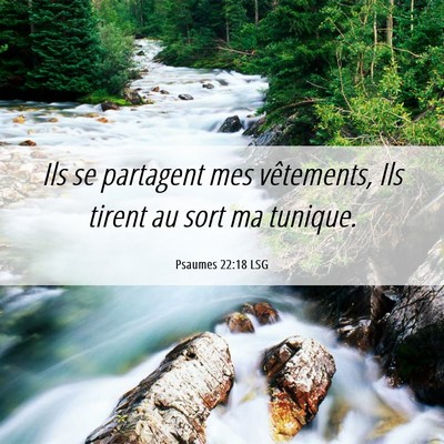 Picture 06 - Psaumes 22:18 LSG - Ils se partagent mes vêtements, Ils tirent au - Bible Verse Picture