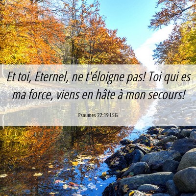 Picture 06 - Psaumes 22:19 LSG - Et toi, Eternel, ne t'éloigne pas! Toi qui es ma - Bible Verse Picture