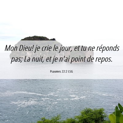 Picture 06 - Psaumes 22:2 LSG - Mon Dieu! je crie le jour, et tu ne réponds pas; - Bible Verse Picture