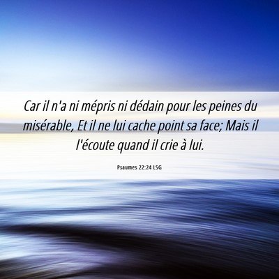 Picture 06 - Psaumes 22:24 LSG - Car il n'a ni mépris ni dédain pour les peines - Bible Verse Picture