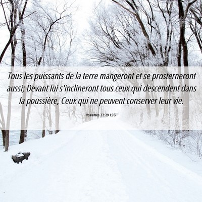 Picture 06 - Psaumes 22:29 LSG - Tous les puissants de la terre mangeront et se - Bible Verse Picture