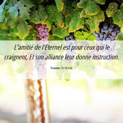 Picture 06 - Psaumes 25:14 LSG - L'amitié de l'Eternel est pour ceux qui le - Bible Verse Picture