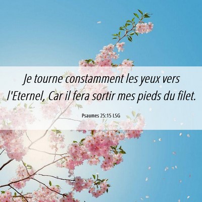 Picture 06 - Psaumes 25:15 LSG - Je tourne constamment les yeux vers l'Eternel, - Bible Verse Picture