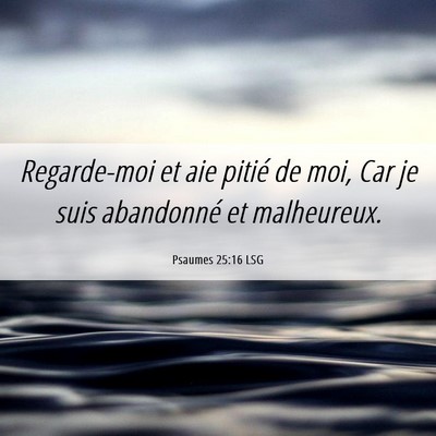 Picture 06 - Psaumes 25:16 LSG - Regarde-moi et aie pitié de moi, Car je suis - Bible Verse Picture