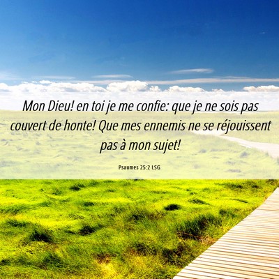 Picture 06 - Psaumes 25:2 LSG - Mon Dieu! en toi je me confie: que je ne sois pas - Bible Verse Picture
