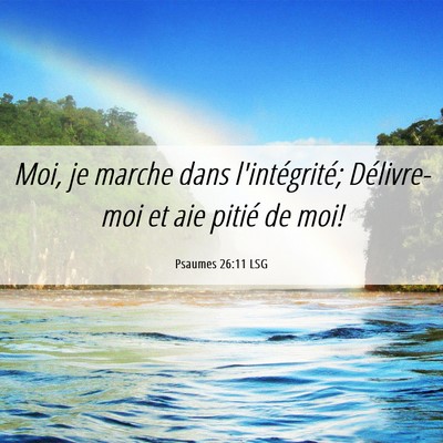 Picture 06 - Psaumes 26:11 LSG - Moi, je marche dans l'intégrité; Délivre-moi - Bible Verse Picture