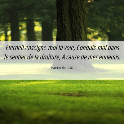 Picture 06 - Psaumes 27:11 LSG - Eternel! enseigne-moi ta voie, Conduis-moi dans - Bible Verse Picture