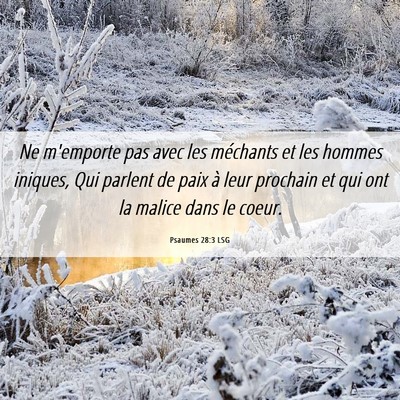 Picture 06 - Psaumes 28:3 LSG - Ne m'emporte pas avec les méchants et les hommes - Bible Verse Picture