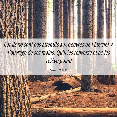 Picture 06 - Psaumes 28:5 LSG - Car ils ne sont pas attentifs aux oeuvres de - Bible Verse Picture