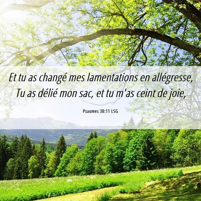 Picture 06 - Psaumes 30:11 LSG - Et tu as changé mes lamentations en allégresse, - Bible Verse Picture