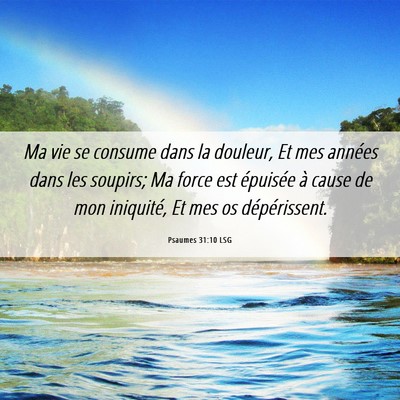 Picture 06 - Psaumes 31:10 LSG - Ma vie se consume dans la douleur, Et mes années - Bible Verse Picture