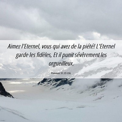Picture 06 - Psaumes 31:23 LSG - Aimez l'Eternel, vous qui avez de la piété! - Bible Verse Picture