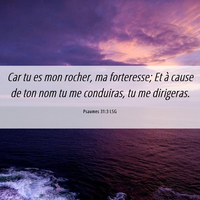 Picture 06 - Psaumes 31:3 LSG - Car tu es mon rocher, ma forteresse; Et à cause - Bible Verse Picture