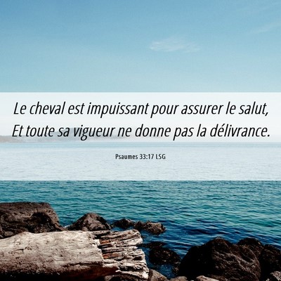 Picture 06 - Psaumes 33:17 LSG - Le cheval est impuissant pour assurer le salut, - Bible Verse Picture