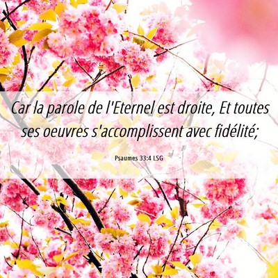 Picture 06 - Psaumes 33:4 LSG - Car la parole de l'Eternel est droite, Et toutes - Bible Verse Picture