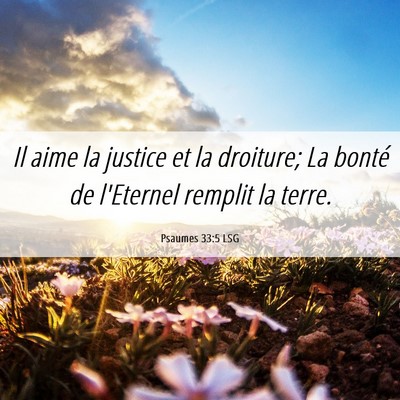 Picture 06 - Psaumes 33:5 LSG - Il aime la justice et la droiture; La bonté de - Bible Verse Picture