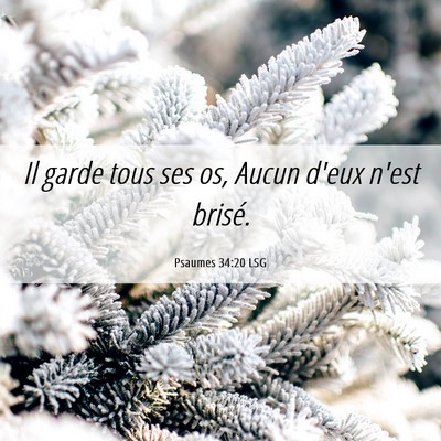 Picture 06 - Psaumes 34:20 LSG - Il garde tous ses os, Aucun d'eux n'est - Bible Verse Picture