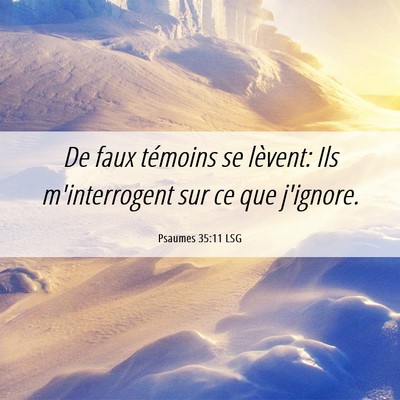 Picture 06 - Psaumes 35:11 LSG - De faux témoins se lèvent: Ils m'interrogent - Bible Verse Picture