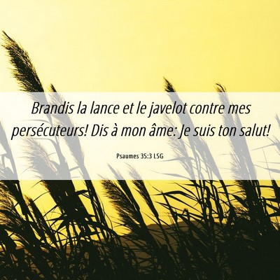 Picture 06 - Psaumes 35:3 LSG - Brandis la lance et le javelot contre mes - Bible Verse Picture