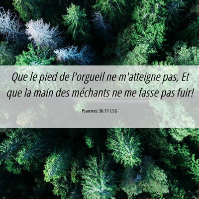 Picture 06 - Psaumes 36:11 LSG - Que le pied de l'orgueil ne m'atteigne pas, Et - Bible Verse Picture
