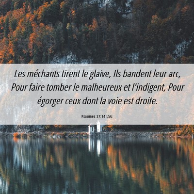 Picture 06 - Psaumes 37:14 LSG - Les méchants tirent le glaive, Ils bandent leur - Bible Verse Picture