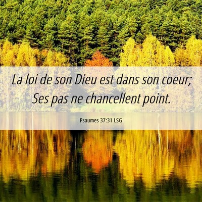 Picture 06 - Psaumes 37:31 LSG - La loi de son Dieu est dans son coeur; Ses pas ne - Bible Verse Picture