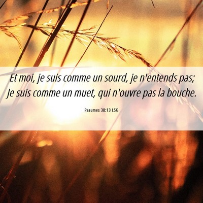 Picture 06 - Psaumes 38:13 LSG - Et moi, je suis comme un sourd, je n'entends pas; - Bible Verse Picture
