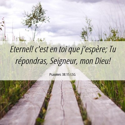 Picture 06 - Psaumes 38:15 LSG - Eternel! c'est en toi que j'espère; Tu - Bible Verse Picture