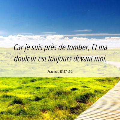 Picture 06 - Psaumes 38:17 LSG - Car je suis près de tomber, Et ma douleur est - Bible Verse Picture