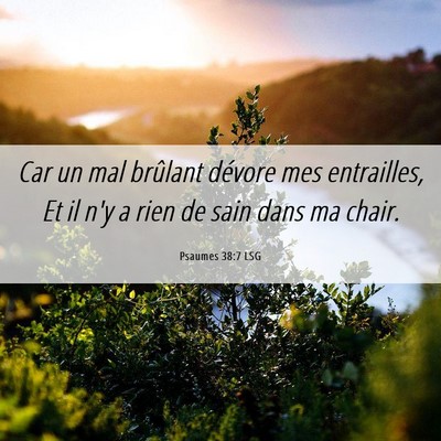 Picture 06 - Psaumes 38:7 LSG - Car un mal brûlant dévore mes entrailles, Et il - Bible Verse Picture
