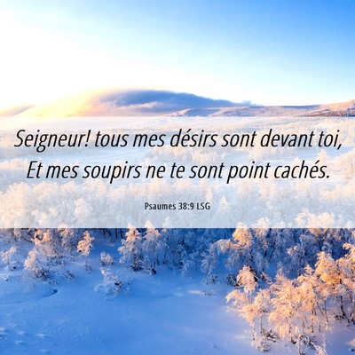 Picture 06 - Psaumes 38:9 LSG - Seigneur! tous mes désirs sont devant toi, Et - Bible Verse Picture