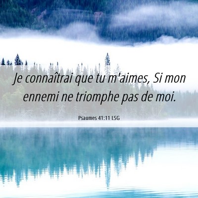 Picture 06 - Psaumes 41:11 LSG - Je connaîtrai que tu m'aimes, Si mon ennemi ne - Bible Verse Picture