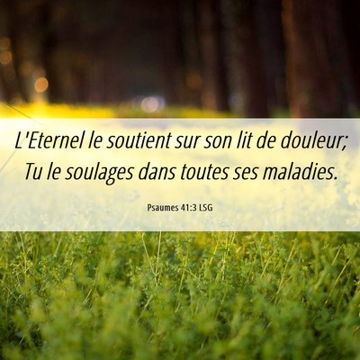 Picture 06 - Psaumes 41:3 LSG - L'Eternel le soutient sur son lit de douleur; Tu - Bible Verse Picture