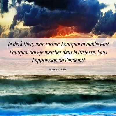 Picture 06 - Psaumes 42:9 LSG - Je dis à Dieu, mon rocher: Pourquoi - Bible Verse Picture