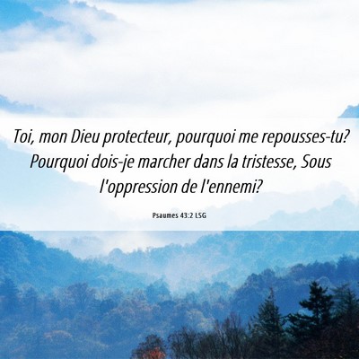 Picture 06 - Psaumes 43:2 LSG - Toi, mon Dieu protecteur, pourquoi me - Bible Verse Picture