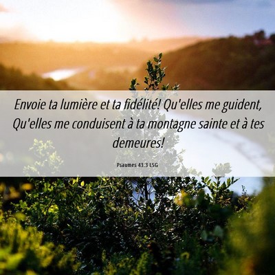 Picture 06 - Psaumes 43:3 LSG - Envoie ta lumière et ta fidélité! Qu'elles me - Bible Verse Picture