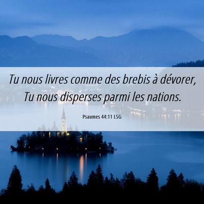 Picture 06 - Psaumes 44:11 LSG - Tu nous livres comme des brebis à dévorer, Tu - Bible Verse Picture