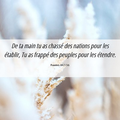 Picture 06 - Psaumes 44:2 LSG - De ta main tu as chassé des nations pour les - Bible Verse Picture