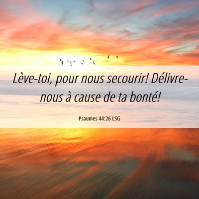 Picture 06 - Psaumes 44:26 LSG - Lève-toi, pour nous secourir! Délivre-nous à - Bible Verse Picture